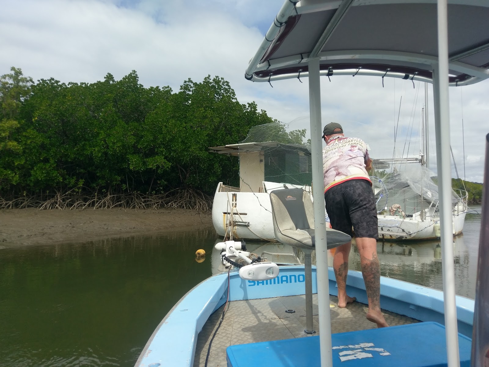 The charter boat tucked into the mangroves on the Endeavour River