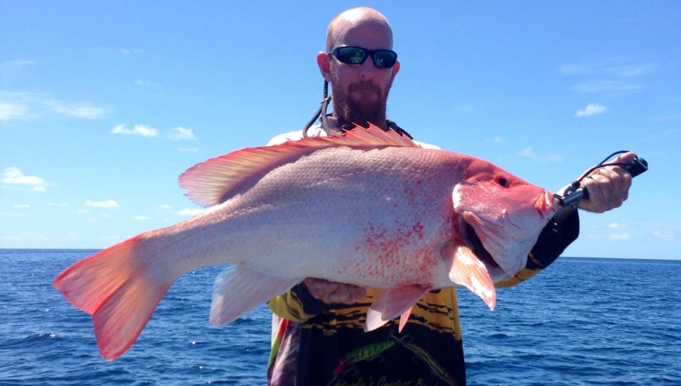 A big red emperor caught on the reef