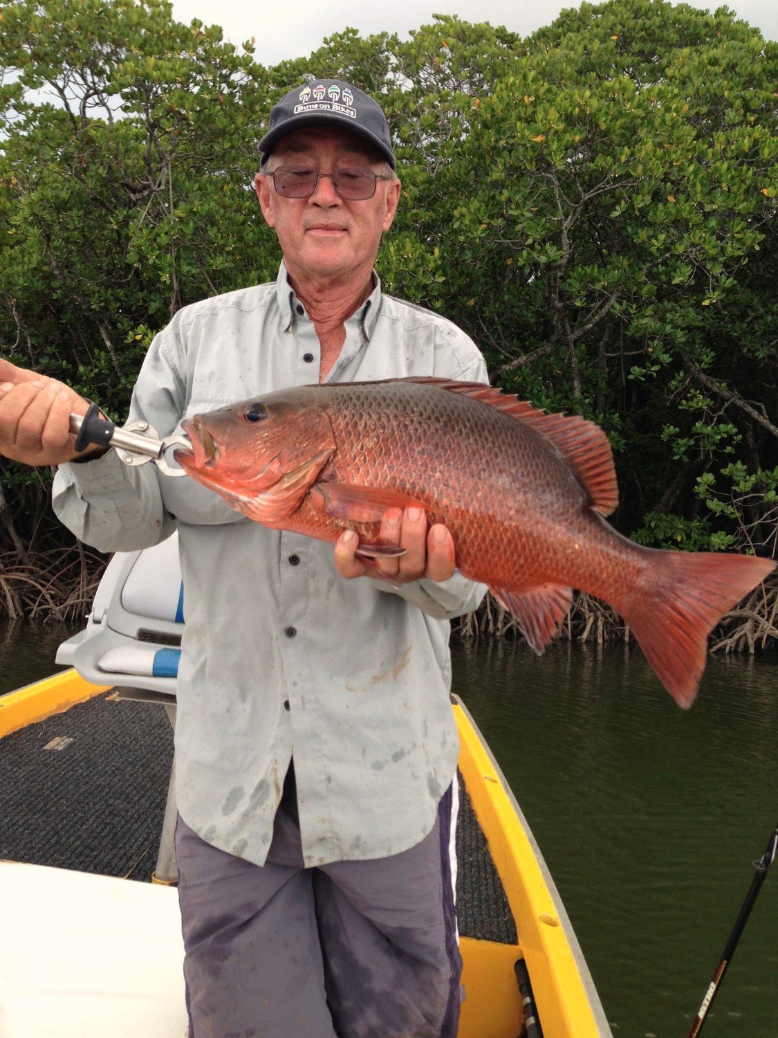 A mangrove jack held up in front of the mangroves